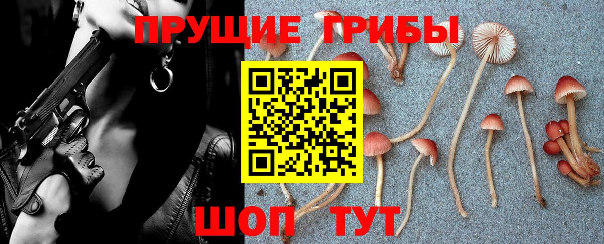 Псилоцибиновые грибы Magic Shrooms  Вход с VPN  Галлюциногенные грибы Psilocybine cubensis  как найти закладки  Прокопьевск 
