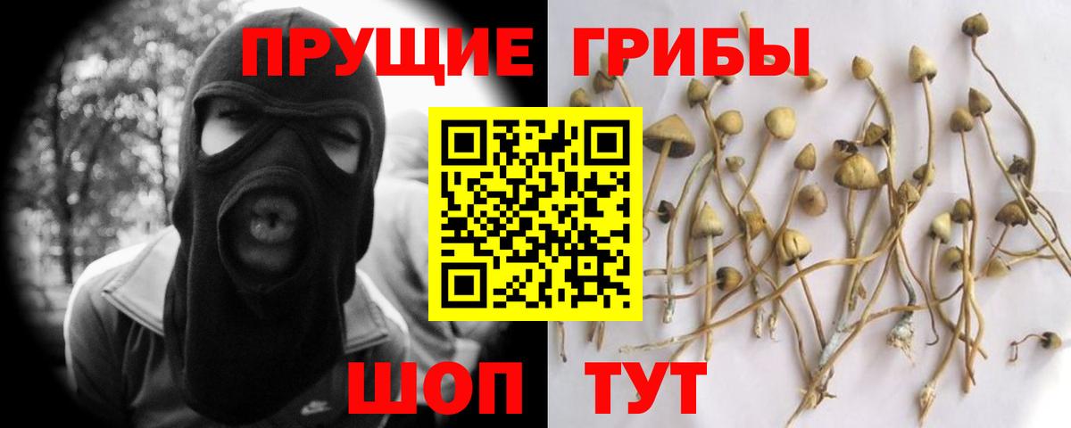 Галлюциногенные грибы MAGIC MUSHROOMS Прокопьевск